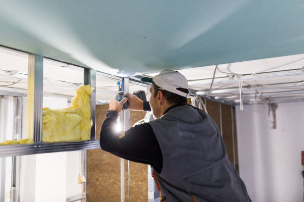 Best Commercial Insulation Contractor  in East Prairie, MO