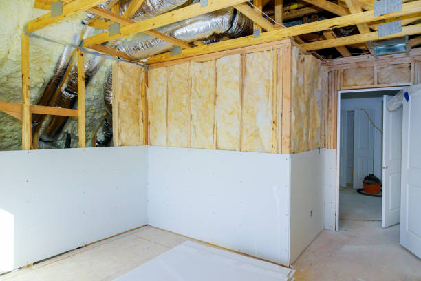 Best Insulation Repair Services  in East Prairie, MO