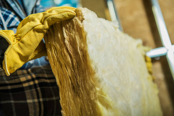 Best Best Insulation Companies  in East Prairie, MO
