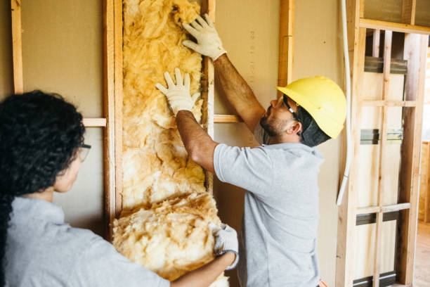 Best Commercial Insulation Contractor  in East Prairie, MO