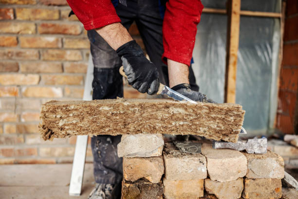 Best Insulation Replacement Services  in East Prairie, MO