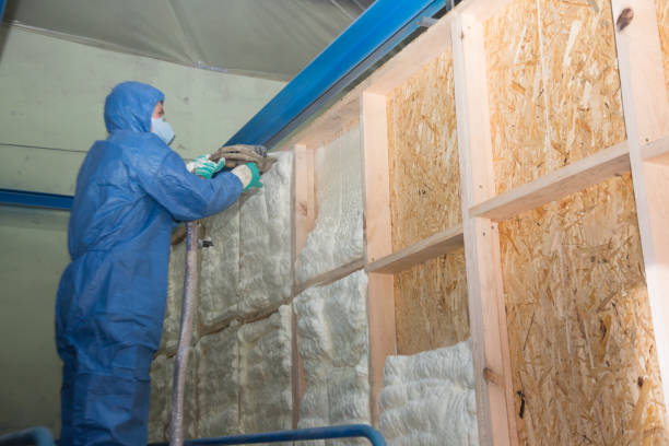 Best Soundproof Insulation Installation  in East Prairie, MO