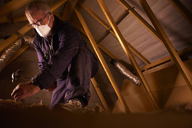 Best Insulation Removal  in East Prairie, MO