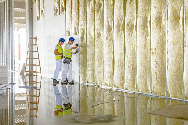 Best Insulation Removal  in East Prairie, MO